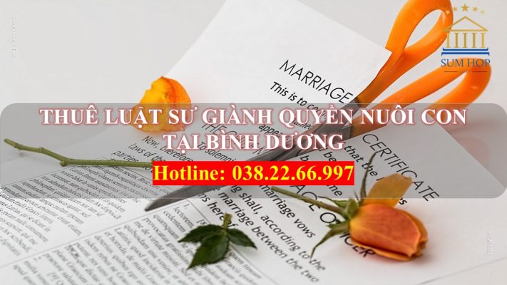 Thuê Luật sư giành quyền nuôi con tại Bình Dương
